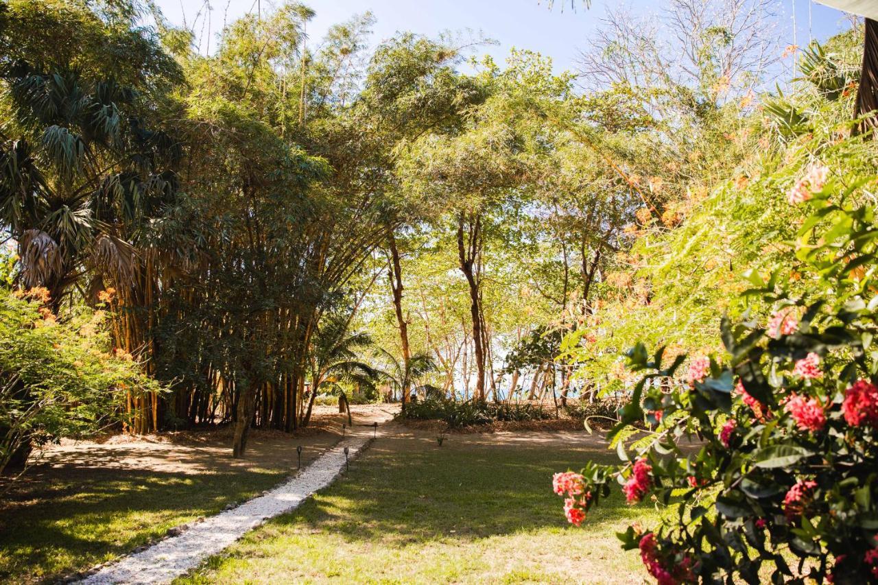 Villas Almendros Playa Santa Teresa  외부 사진