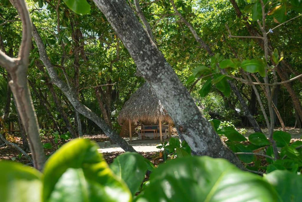 Villas Almendros Playa Santa Teresa  외부 사진